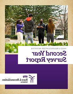 Cover of second-year report